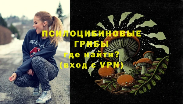 МДМА Новодвинск