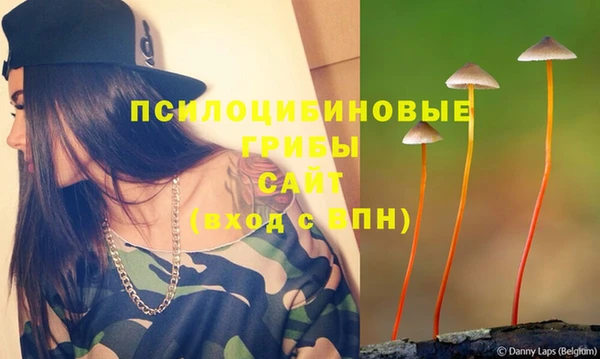 прущая мука Новозыбков